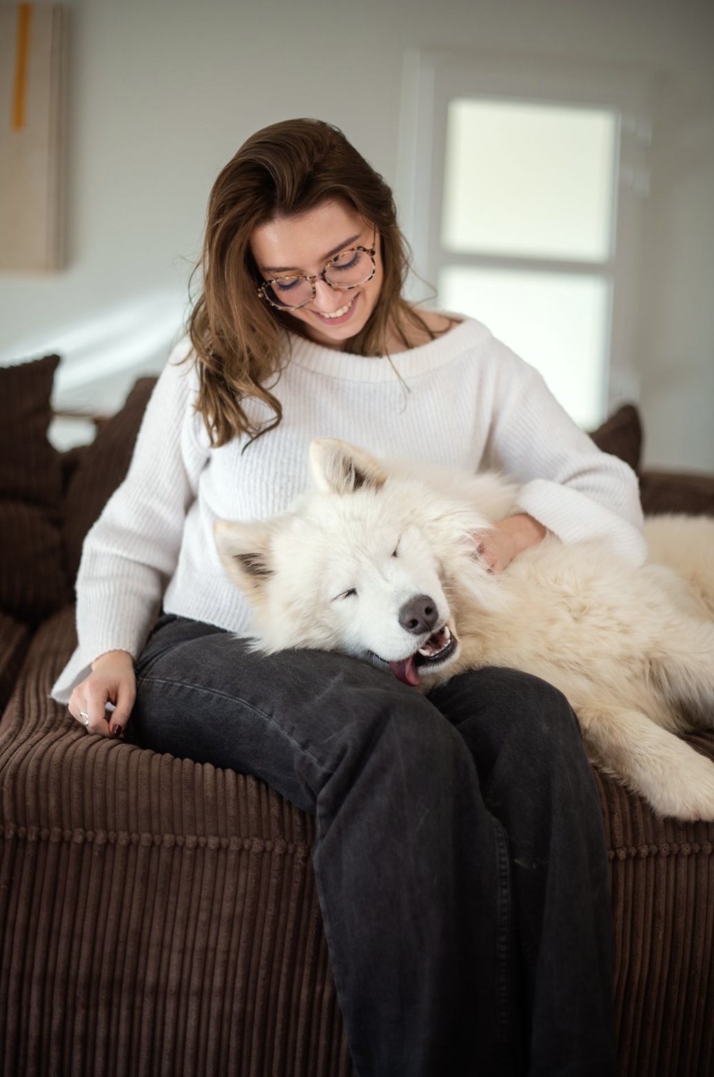 Chien blanc câliné sur le canapé, séance à domicile