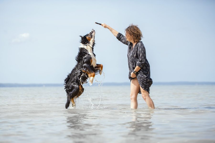 Complicité entre une jeune fille et son chien en extérieur, Tarn