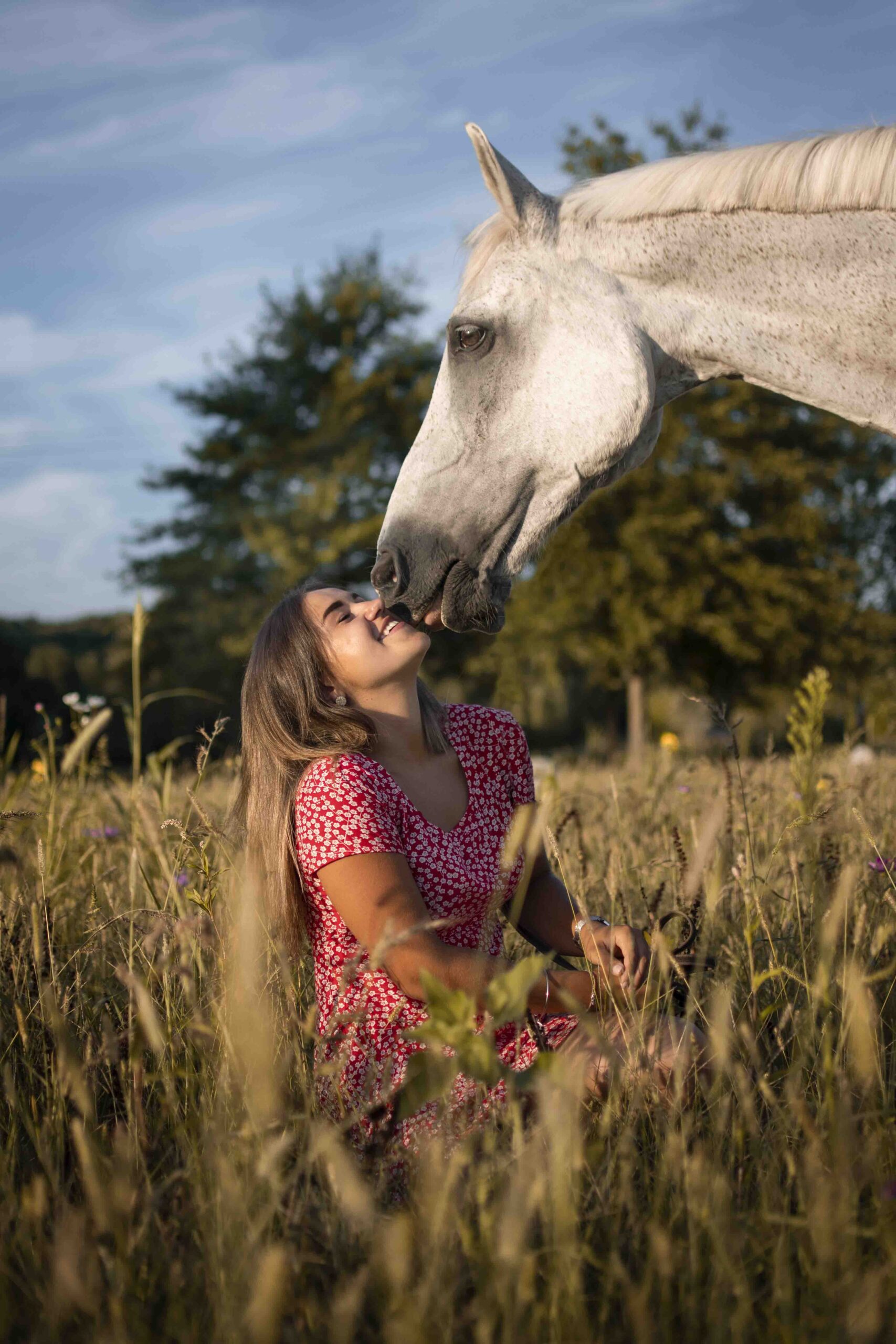 Complicité entre une cavalière et son cheval blanc, geste tendre