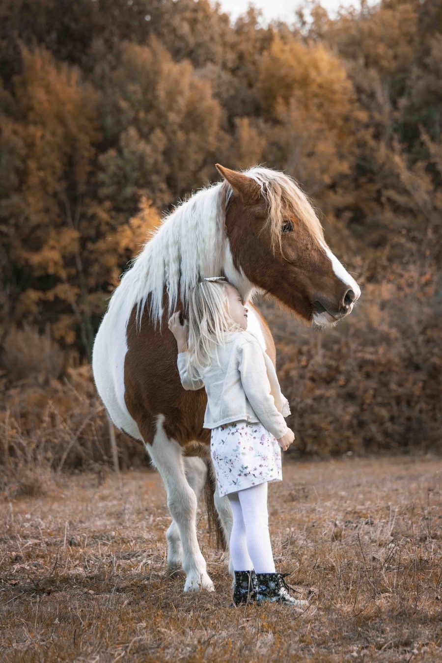 Complicité entre une fillette et son poney en automne