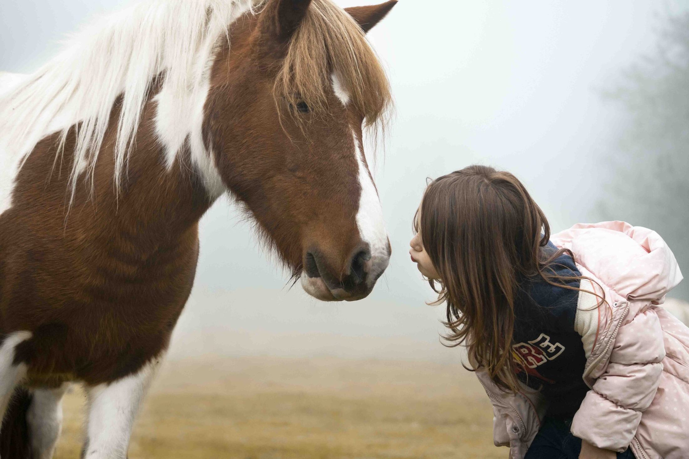 Une petite fille et un poney partagent un moment de tendresse dans la brume, Tarn